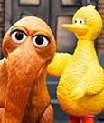 Super7 Sesame Street Pack de 2 Figuras ReAction Big Bird and Mr. Snuffleupagus 10 cm Super7 Sesame Street Pack de 2 Figuras ReAction Big Bird and Mr. Snuffleupagus 10 cm