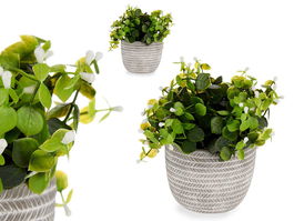 Ibergarden Planta Verde Flor Blanca Con Maceta Gris 20 cm x 20.5 cm x 20 cm (Set de 8)