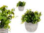 Ibergarden Planta Verde Flor Blanca Con Maceta Gris 20 cm x 20.5 cm x 20 cm (Set de 8)