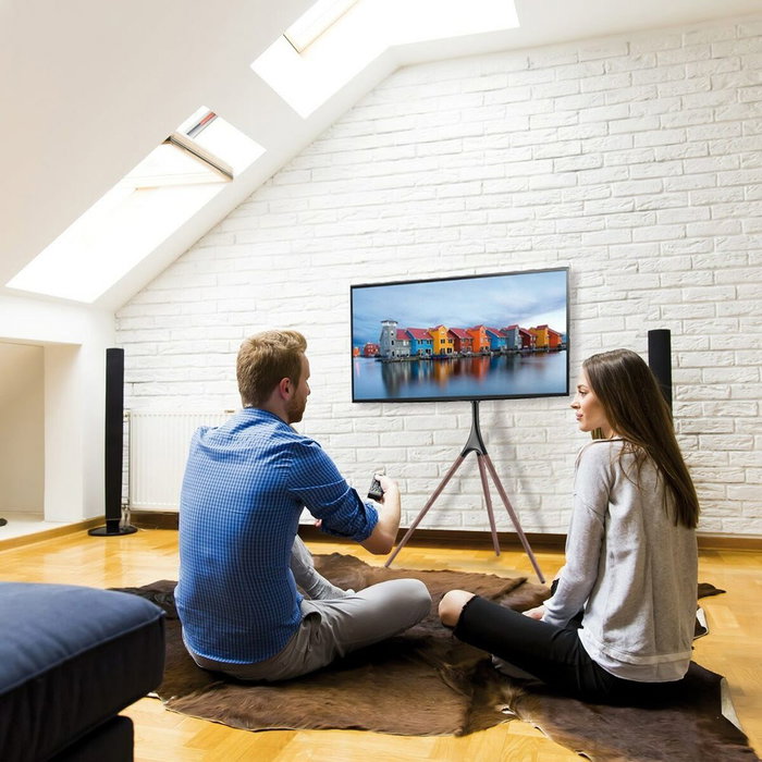 Soporte TV para Suelo Techly 105209 65" 32 kg