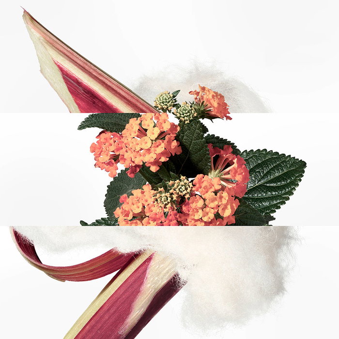 HERMÈS Eau de Rhubarbe Écarlate Eau de Cologne - Colonia Vaporizador Unisex 200 ml