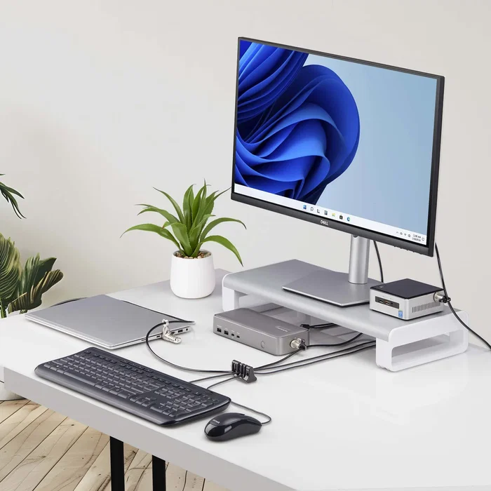 StarTech.com CABLE-ORGANIZER-LOCK Candado Anclaje de Cable Antirrobo para Escritorio - Organizador y Soporte Seguro para Cable de Teclado, Ratón y Periféricos - Negro