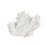 Ixia Figura Coral Blanco Resina Decoración 29 x 20 x 21 cm