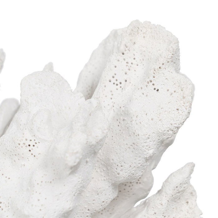 Ixia Figura Coral Blanco Resina Decoración 29 x 20 x 21 cm Ixia Figura Coral Blanco Resina Decoración 29 x 20 x 21 cm