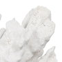 Ixia Figura Coral Blanco Resina Decoración 29 x 20 x 21 cm