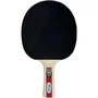 Schildkrot Raqueta de Tenis de Mesa LEGENDS 900 FSC SCH4000885544268