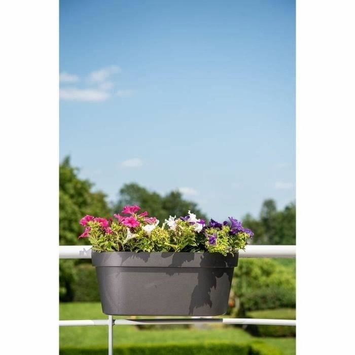 Garden Id Jardinera con gancho Star Negro-Anth 50 x 21 cm