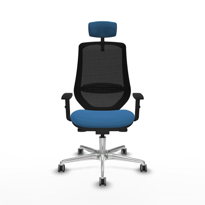 PIQUERAS Y CRESPO Silla de oficina Mardos con mecanismo Sincro/Traslack, Azul claro y Negro PIQUERAS Y CRESPO Silla de oficina Mardos con mecanismo Sincro/Traslack, Azul claro y Negro