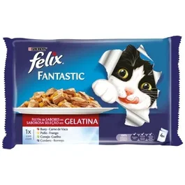 Purina Felix Agail Gij Mv Ctrysd 124x85 grx2