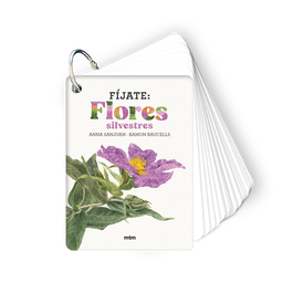 MTM Fíjate: flores silvestres