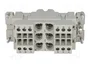 HARTING Han K 6/12 Pos. F Insert - Plantilla de contacto hembra HDC