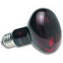 ZooMed Lámpara de Luz Infrarroja Roja 100WT