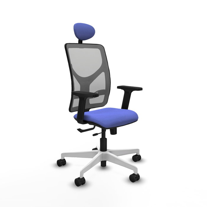 PIQUERAS Y CRESPO Silla de oficina Motilla con mecanismo Sincro/Traslack, Azul claro y Gris PIQUERAS Y CRESPO Silla de oficina Motilla con mecanismo Sincro/Traslack, Azul claro y Gris
