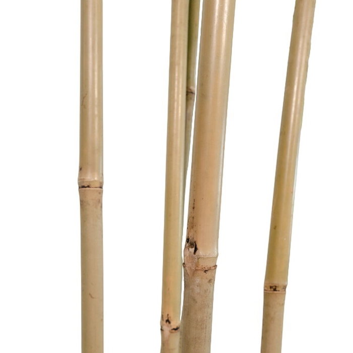 DKD Home Decor Árbol de Bambú Artificial Verde 80x80x180 cm DKD Home Decor Árbol de Bambú Artificial Verde 80x80x180 cm