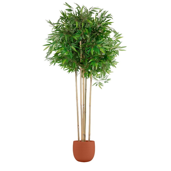 DKD Home Decor Árbol de Bambú Artificial Verde 80x80x180 cm DKD Home Decor Árbol de Bambú Artificial Verde 80x80x180 cm