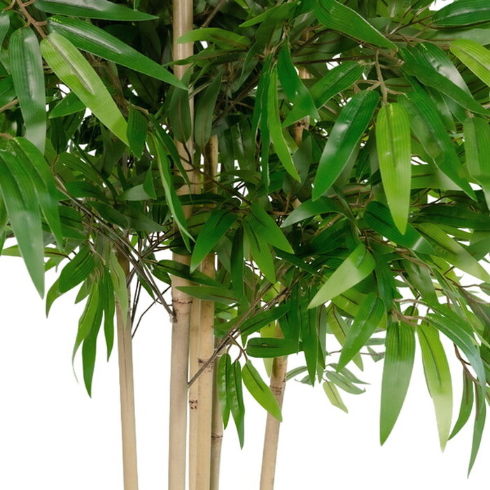 DKD Home Decor Árbol de Bambú Artificial Verde 80x80x180 cm DKD Home Decor Árbol de Bambú Artificial Verde 80x80x180 cm