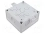 SPELSBERG ABOX Caja de conexiones gris IP66