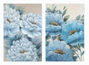 DKD Home Decor Cuadro Lienzo MDF Hortensias Pack de 2 unidades