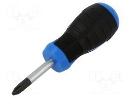 HÖGERT TECHNIK Destornillador Phillips PH2 de 38 mm