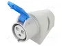 SEZ DK IZN 3232 Tomacorriente Hembra 32A 3 Pines Azul
