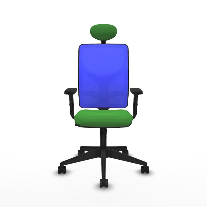 PIQUERAS Y CRESPO Silla de oficina Motilla con mecanismo Sincro Verde y Azul PIQUERAS Y CRESPO Silla de oficina Motilla con mecanismo Sincro Verde y Azul