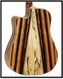Guitarra Acústica Tanglewood Twjdce Cutaway Dreadnought