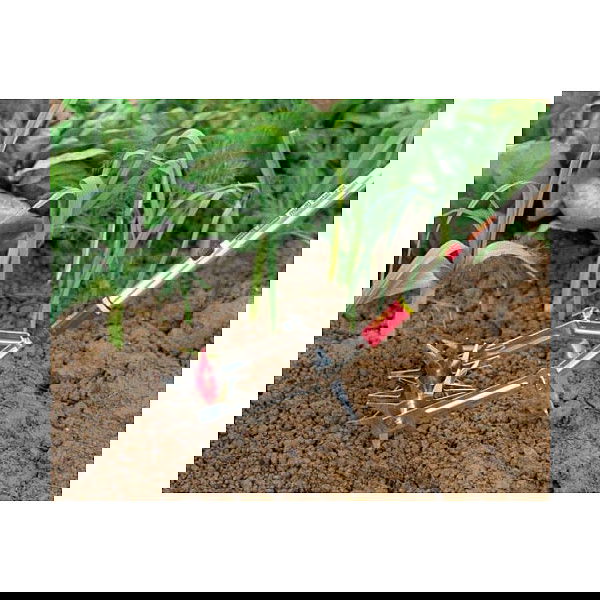 WOLF-Garten Gartenfräse DA-S Multi-Star, Fresadora de Jardín, Color Rojo/Amarillo, 15 cm