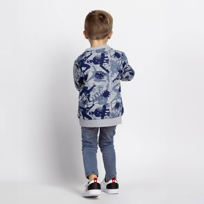 Cerdá Sudadera Spiderman Cotton Brushed Talla 6 Años Gris