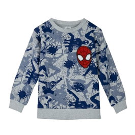 Cerdá Sudadera Spiderman Cotton Brushed Talla 6 Años Gris