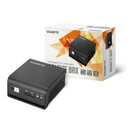 Gigabyte BRIX GB-BMPD-6005 Barebone con Procesador Intel Pentium Silver N6005 para PC de Sobremesa Compacto