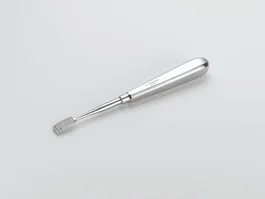 Vi 001010 EXCISION ARTHROPLASTY RASP