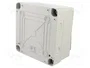 GEWISS GW40003 Carcasa para Aparatos Modulares 40 CD IP55 Blanco
