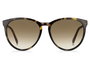 Tommy Hilfiger TH-1724-S-086-HA Gafas de sol Marrón Havana