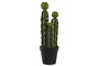 DKD Home Decor Planta Cactus Verde Foam PP
