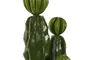 DKD Home Decor Planta Cactus Verde Foam PP