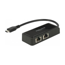 DeLOCK 63927 Adaptador de red USB Type-C™ 2 x RJ45 Gigabit LAN