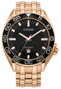 Citizen AW1773-55E Dorado con Esfera Negra