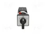 SCHNEIDER ELECTRIC Interruptor de leva 10A 1-0-2 gris y negro