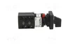 SCHNEIDER ELECTRIC Interruptor de leva 10A 1-0-2 gris y negro