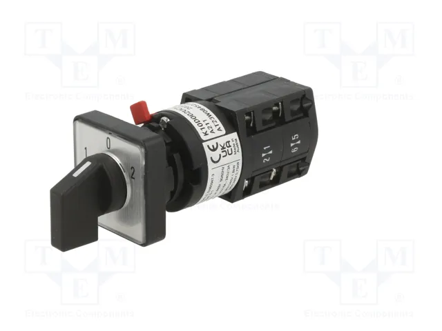 SCHNEIDER ELECTRIC Interruptor de leva 10A 1-0-2 gris y negro
