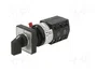 SCHNEIDER ELECTRIC Interruptor de leva 10A 1-0-2 gris y negro