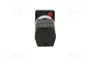 SCHNEIDER ELECTRIC Interruptor de leva 10A 1-0-2 gris y negro