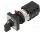 SCHNEIDER ELECTRIC Interruptor de leva 10A 1-0-2 gris y negro