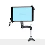 StarTech Adaptador de Montaje VESA para Tablets 7,9-12,5 pulgadas