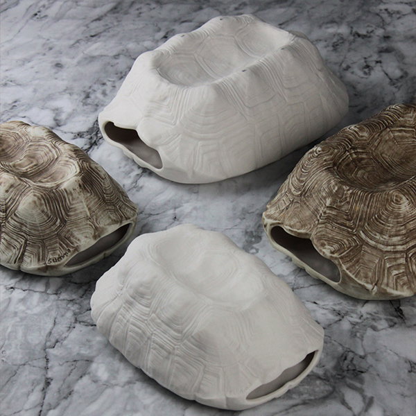 Summa Premium Bol Miscelanea Tortuga Marrón 17x11 cm