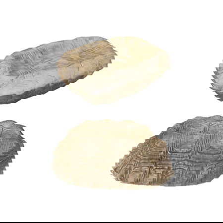 SUMMA PREMIUM MISCELANEA Bol Tortuga Marrón 17x11 cm - Vajilla Ensaladera de Porcelana