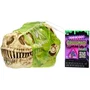MGA Dinosaurio GrossMos con Espuma y Slime. Encuentra las Piezas y Construye tu Dinosaurio 10 cm - Modelos Surtidos