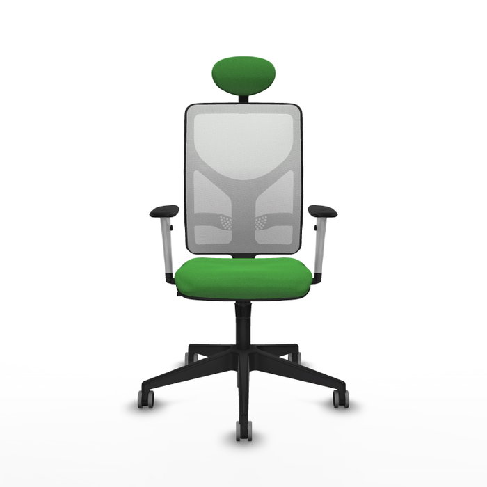 PIQUERAS Y CRESPO Silla de oficina Motilla con Mecanismo Sincro, Verde y Blanco
