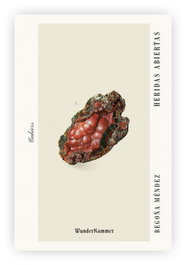 Heridas abiertas, Begoña Méndez - WUNDERKAMMER