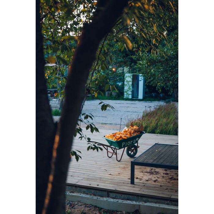 Samyang AF 2.8/24-60 FE Sony E Schneider Kreuznach Samyang AF 2.8/24-60 FE Sony E Schneider Kreuznach